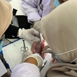 Kegiatan Lab Prodi S1 Pendidikan Biologi - 3
